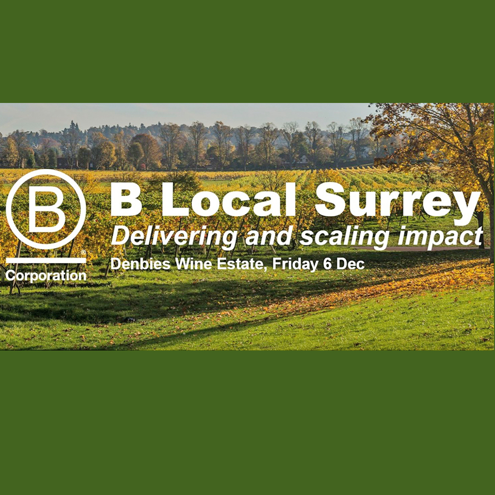 B Local Surrey Event • Delivering and scaling impact