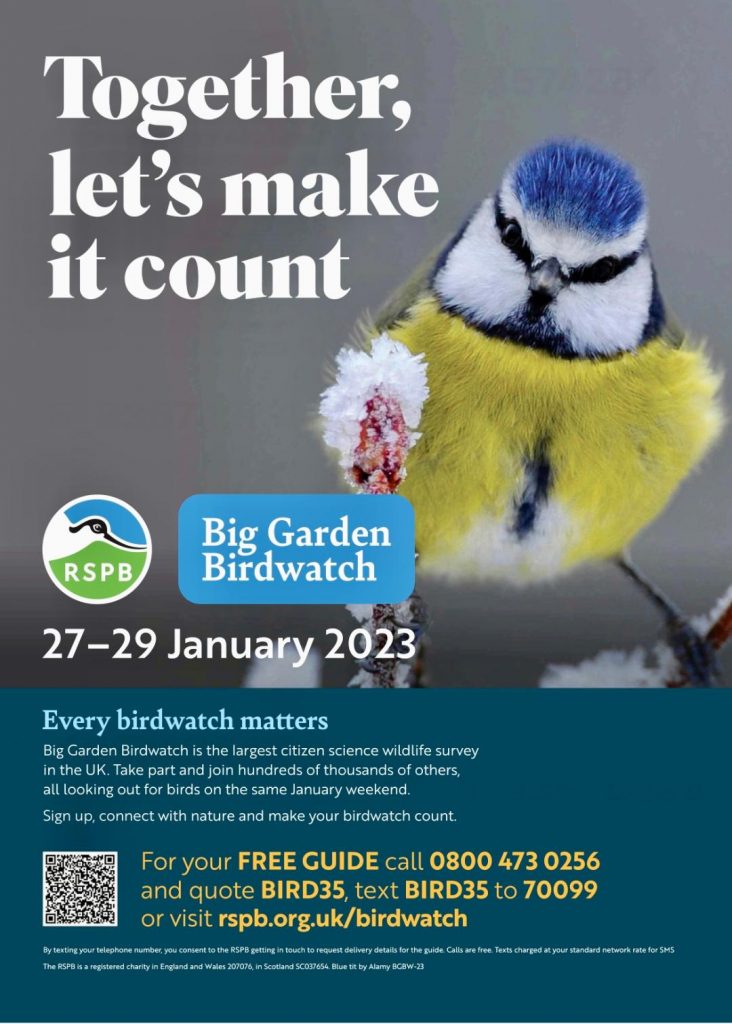 Big Garden Birdwatch Poster
