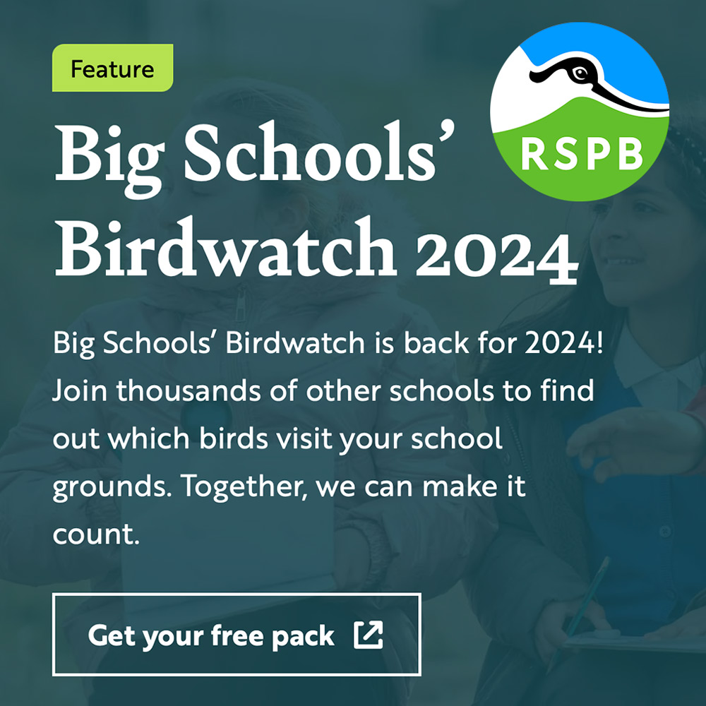 Big Schools Bird Watch