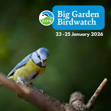 RSPB Big Garden Birdwatch