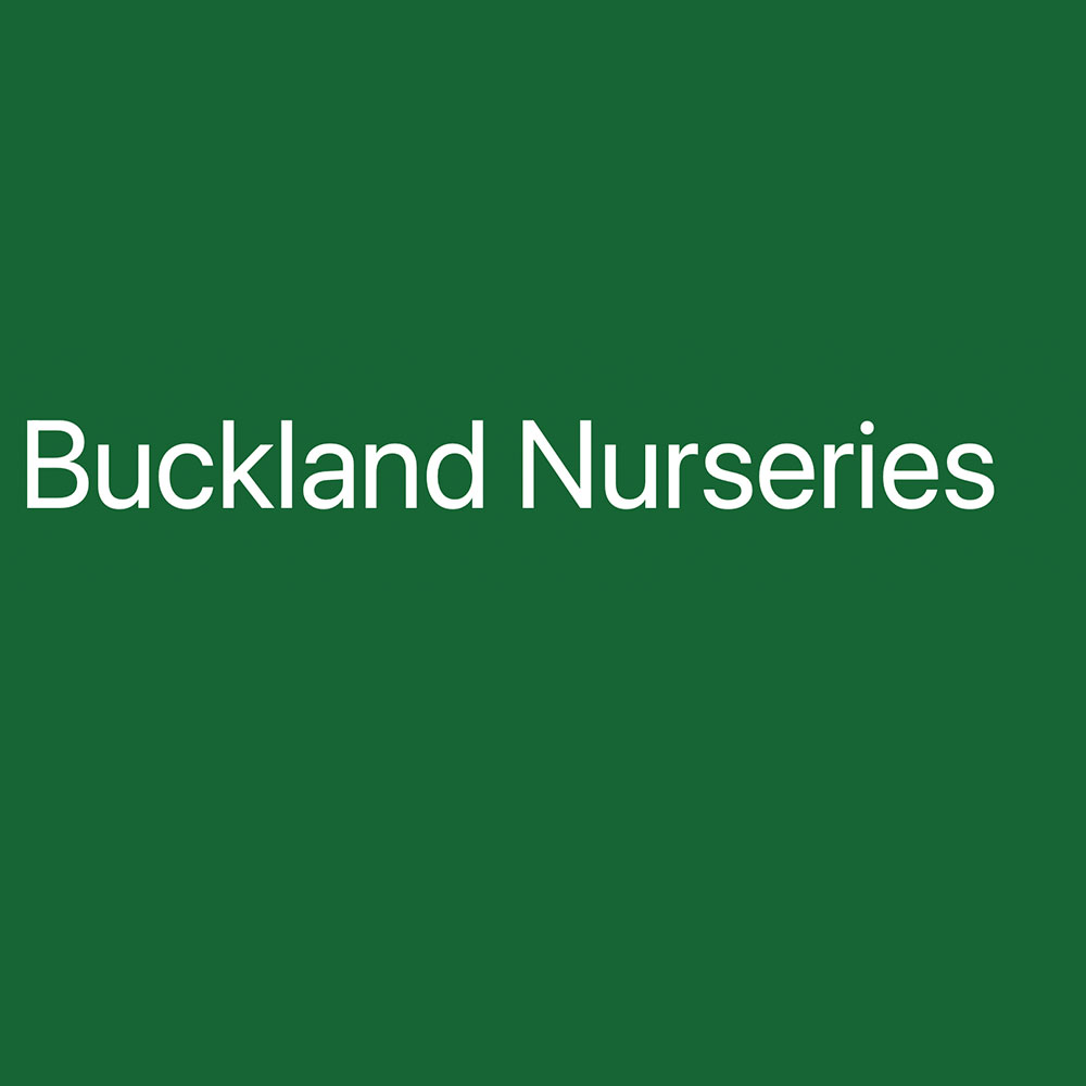 Buckland Nursery