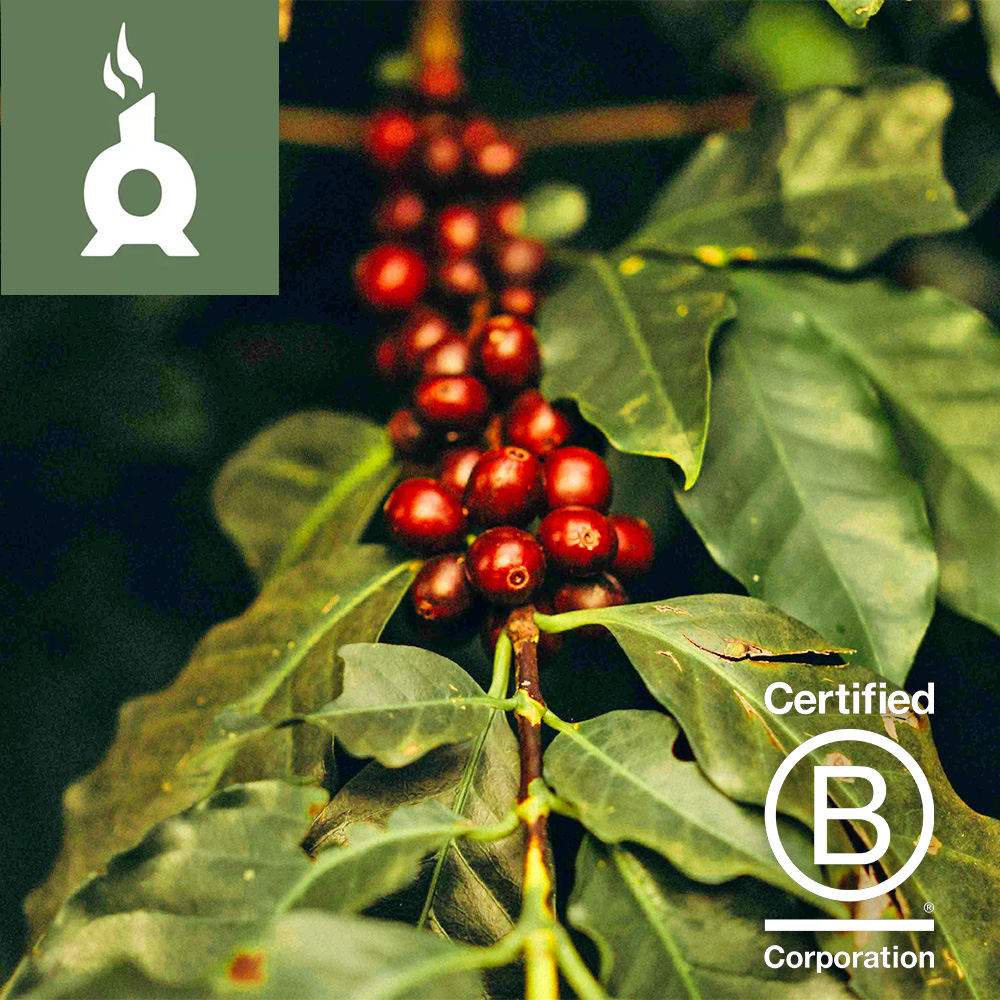 Chimney Fire Coffee – Local B Corp