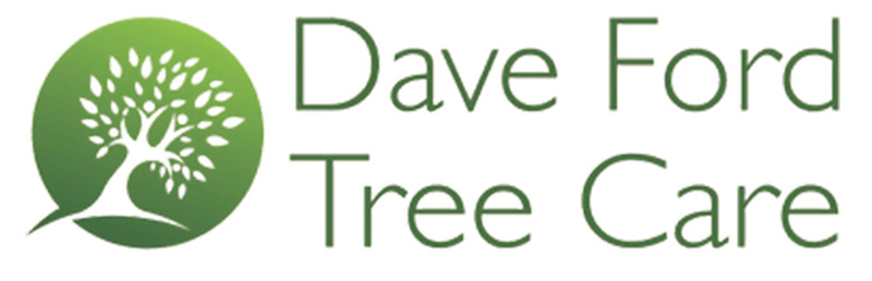 Dave Ford Tree Care Surrey Logo