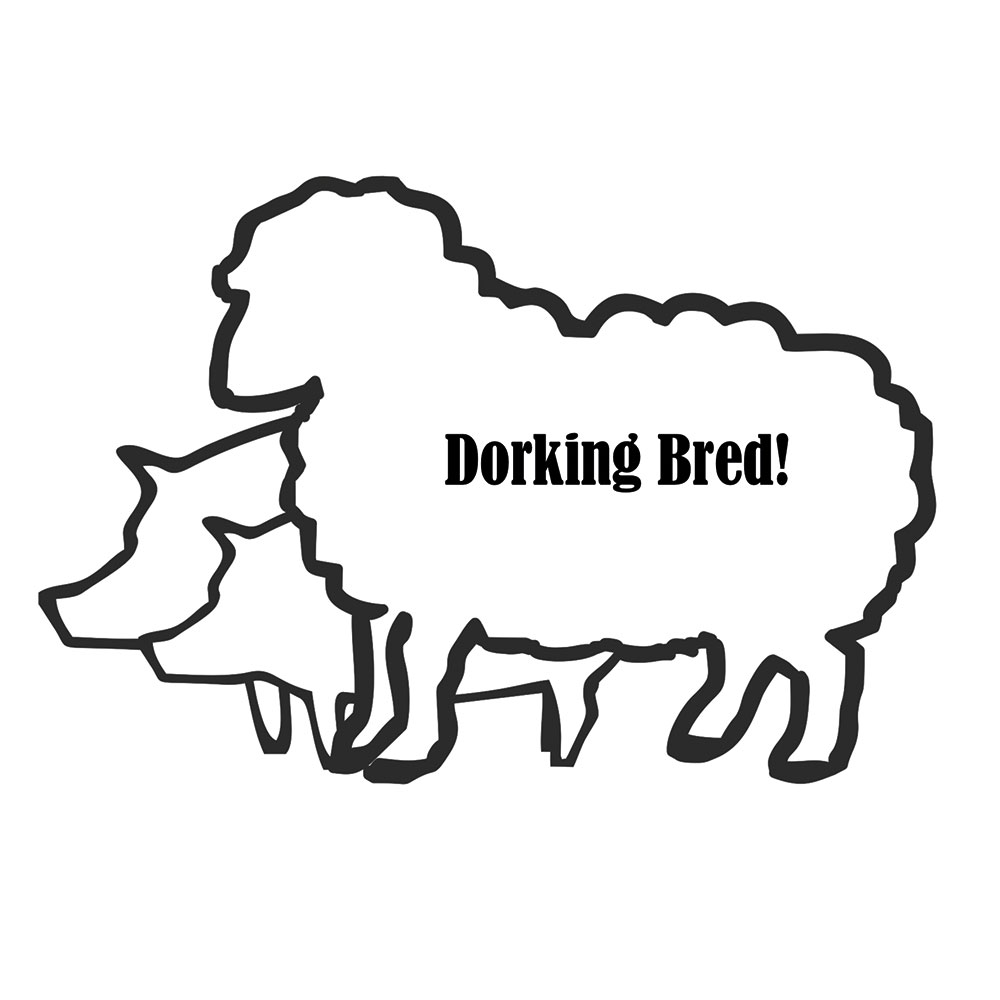 Dorking Bred
