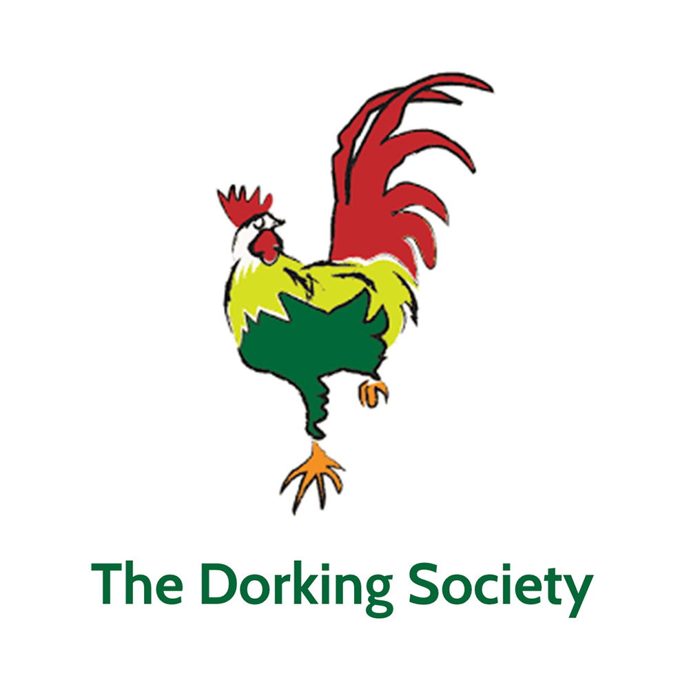 The Dorking Society