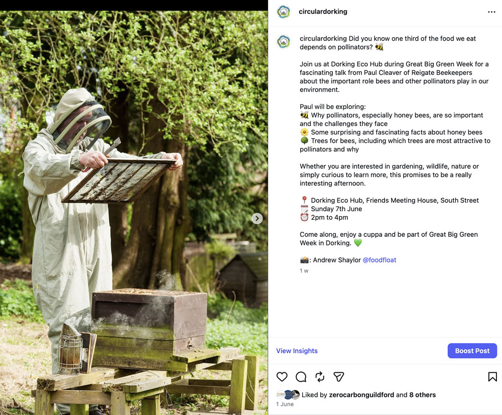 Beekeeping Talk at Dorking Eco Hub Sun 7 June Instagram Post