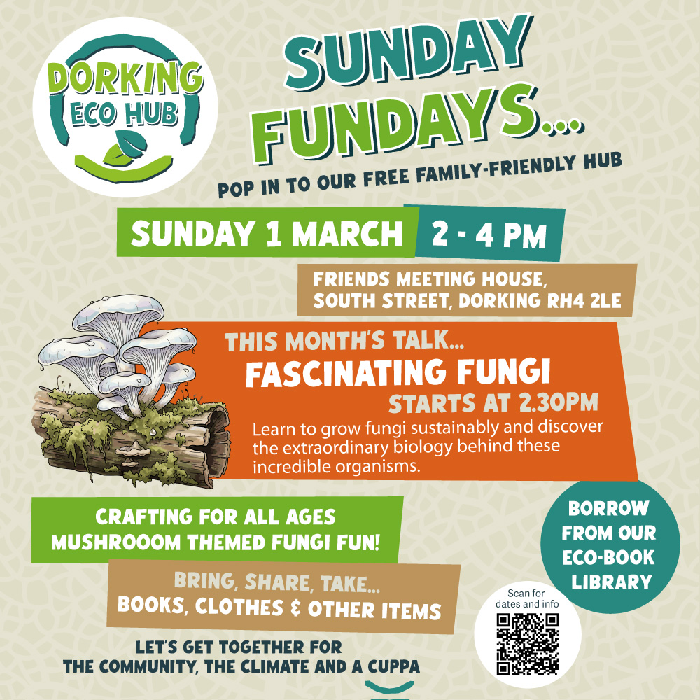 Dorking Monthly Eco Hub. Activities for March