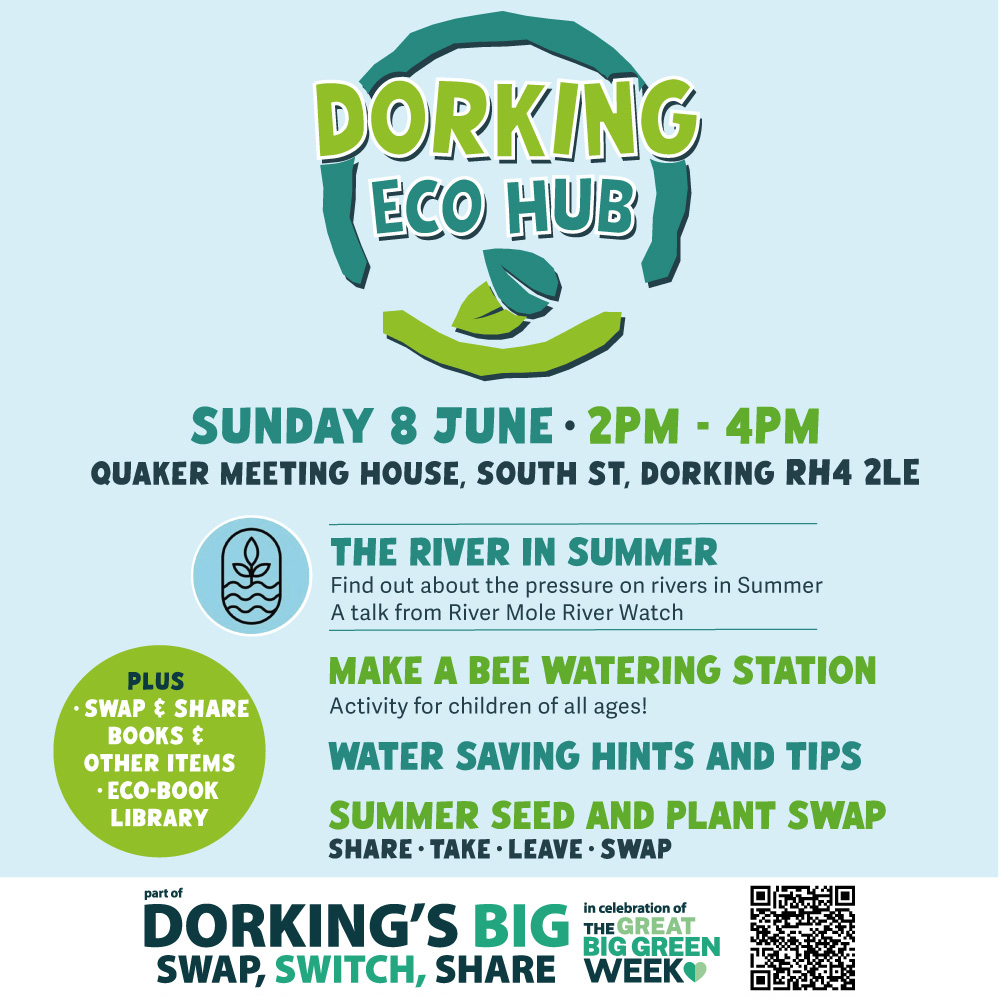 Dorking Eco Hub • The River in Summer