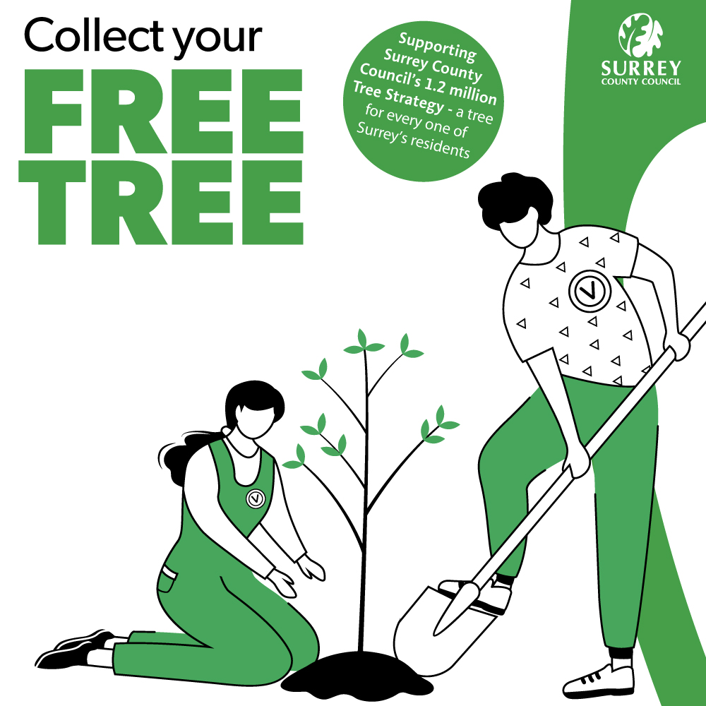 Collect your Free Tree