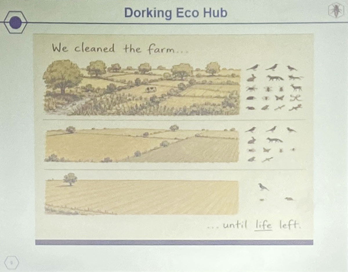 Dorking Eco Hub Sun 7 June, close-up of slide about Wildlife decline on farms