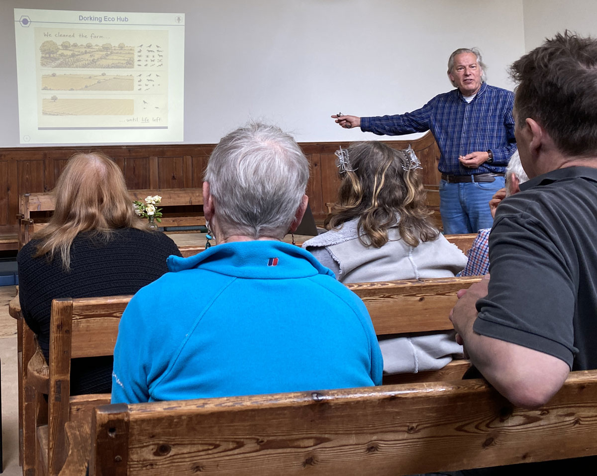 Beekeeping Talk at Dorking Eco Hub Sun 7 June Slide about Wildlife decline on farms