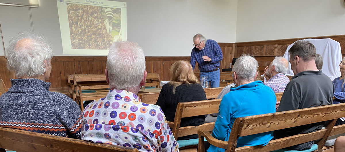 Paul Cleaver Beekeeping Talk at Dorking Eco Hub Sun 7 June