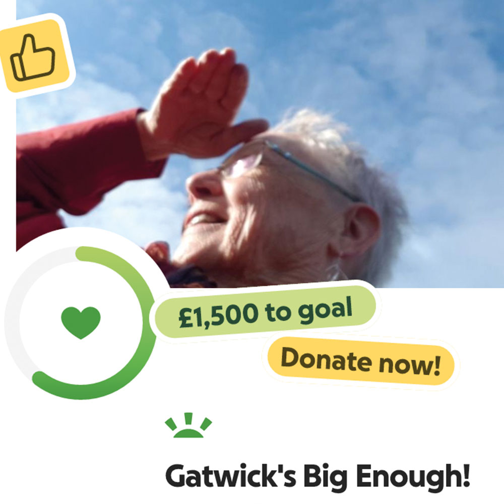 Gatwicks Big Enough Walk