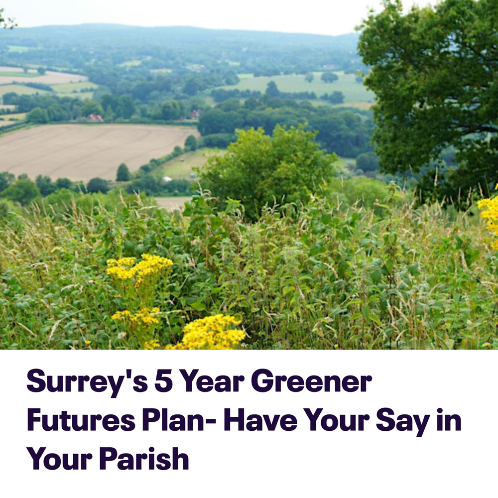 Surrey’s 5 Year Greener Futures Plan – Have Your Say in Your Parish Workshop