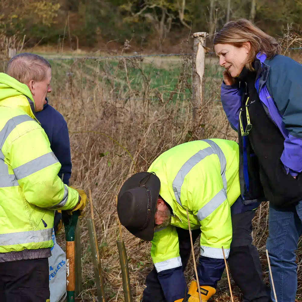 Hedgerow Planting for Wildlife