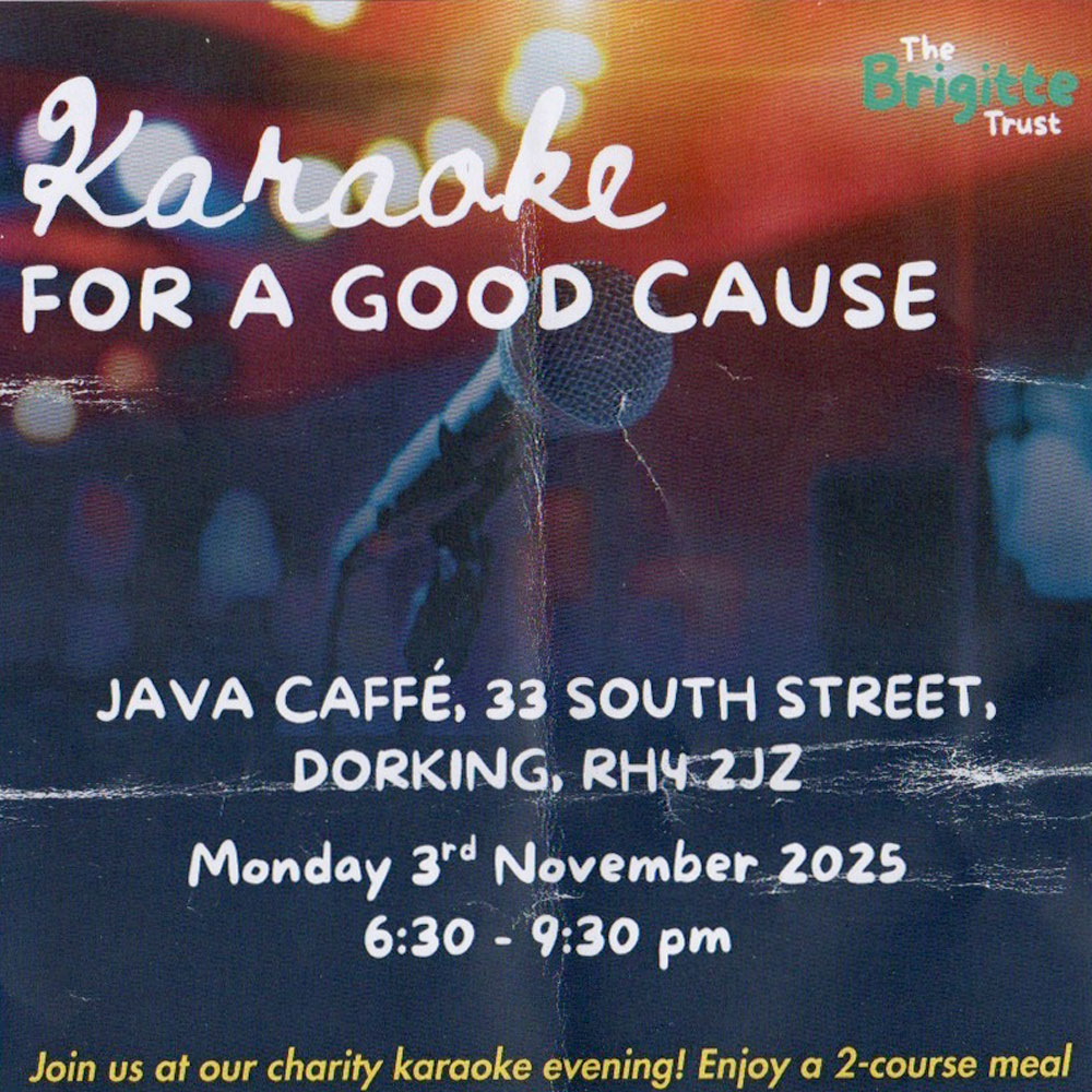 The Brigitte Trust • Karaoke for a good cause