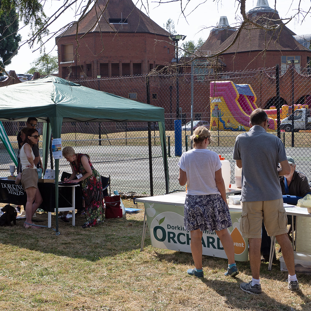 Dorking Community Orchard and Dorking Minds Stalls at Pippfest 2024