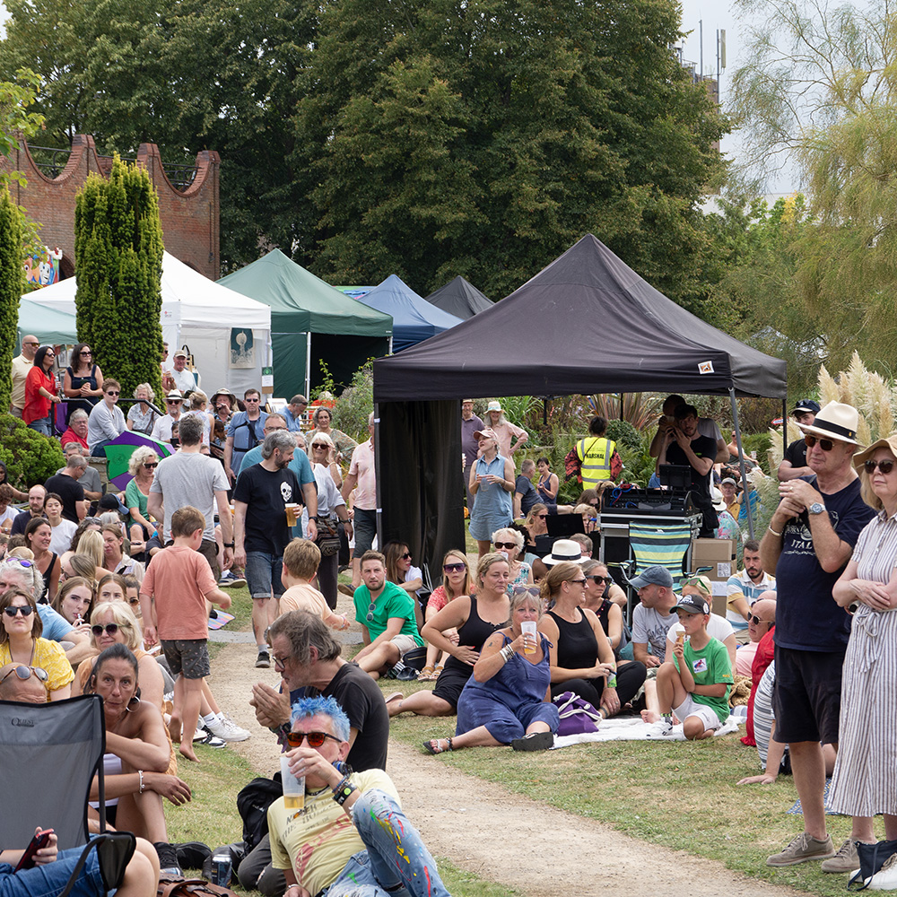 Live music audience at Pippfest 2024