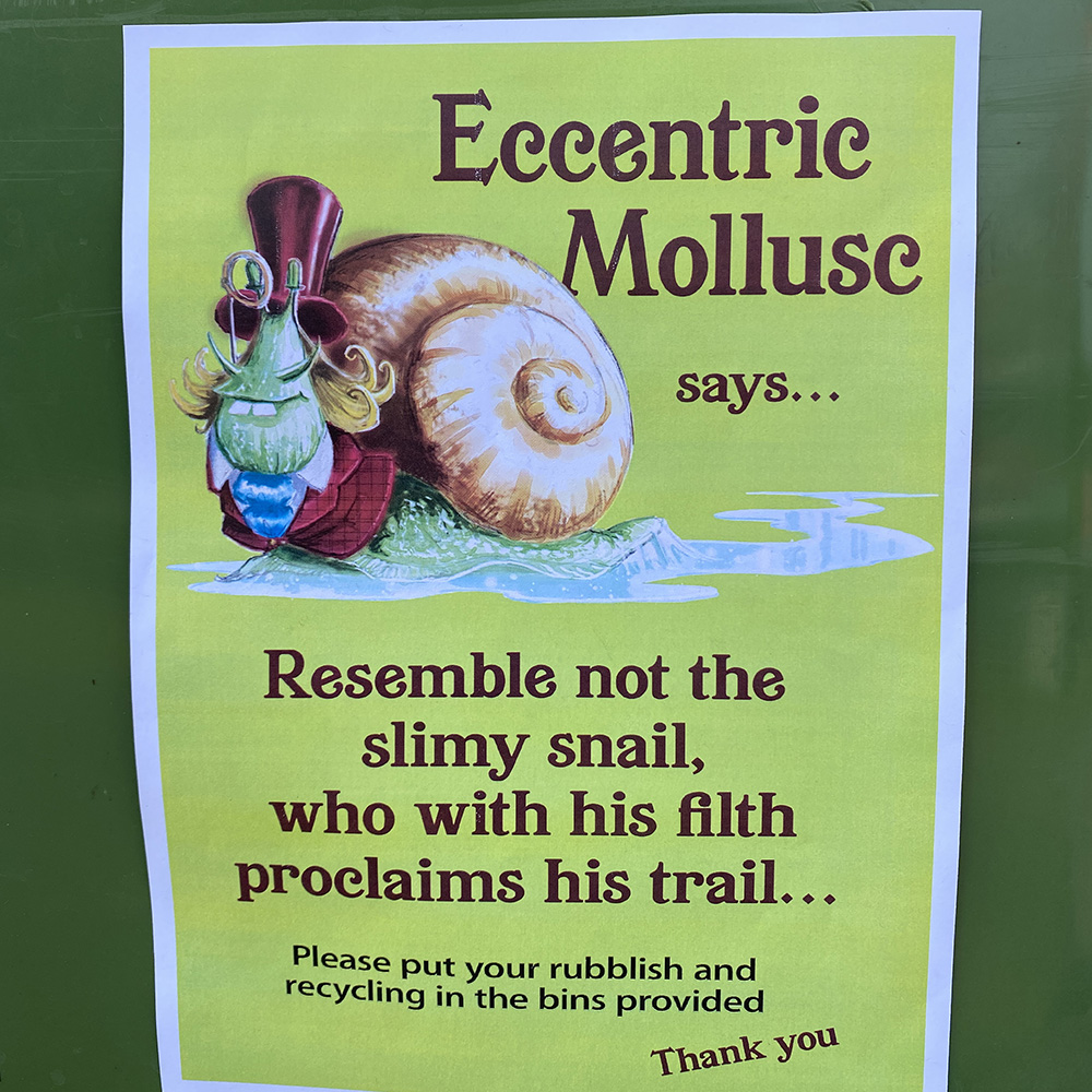 Pippfest 2024 Eccentric Mollusc