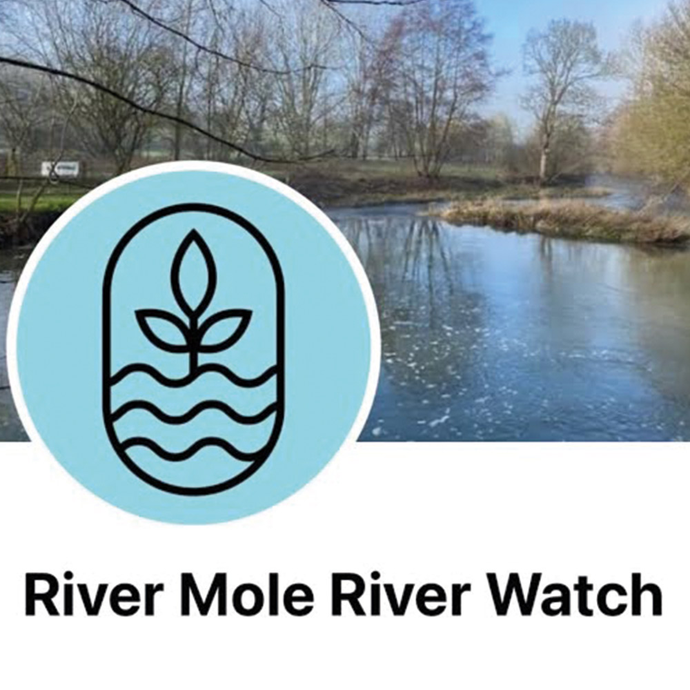 River Mole River Watch