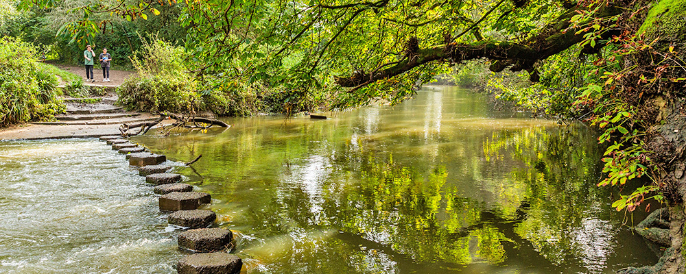 River Mole Stepping Stones