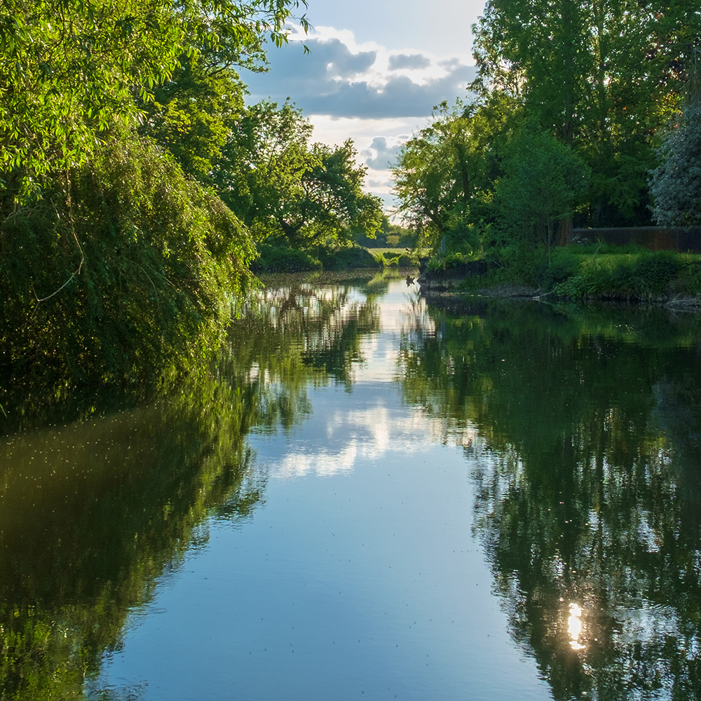 Eco Hub • Our River in Summer