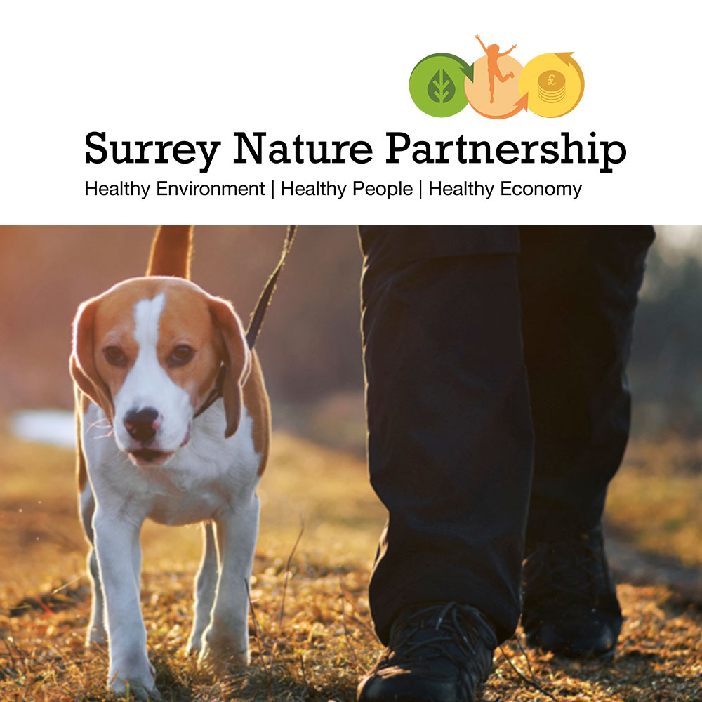 Love Dogs, Love Nature