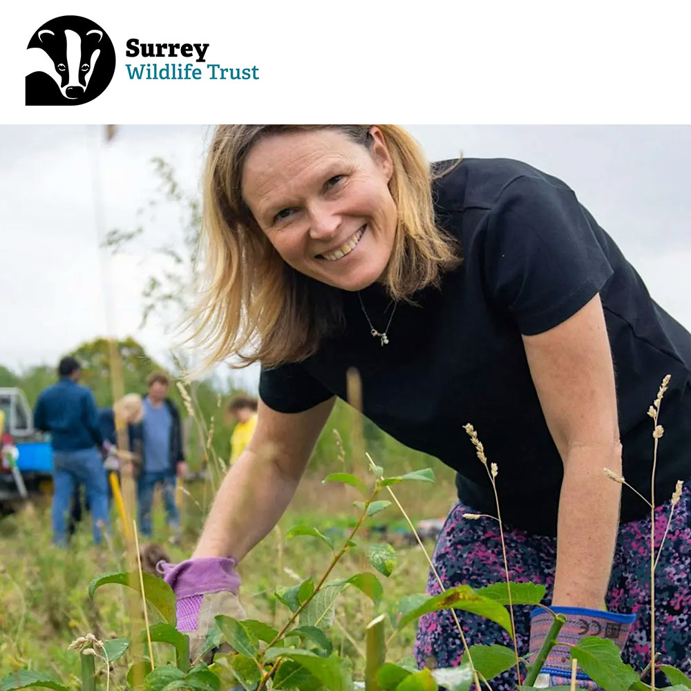 Surrey Wildlife Trust • Volunteer taster session