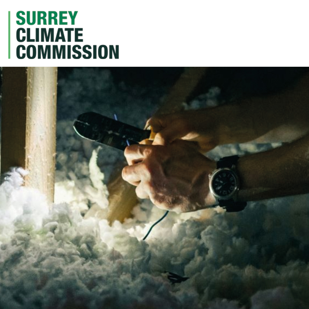 Surrey Energy Reduction and Creation online event