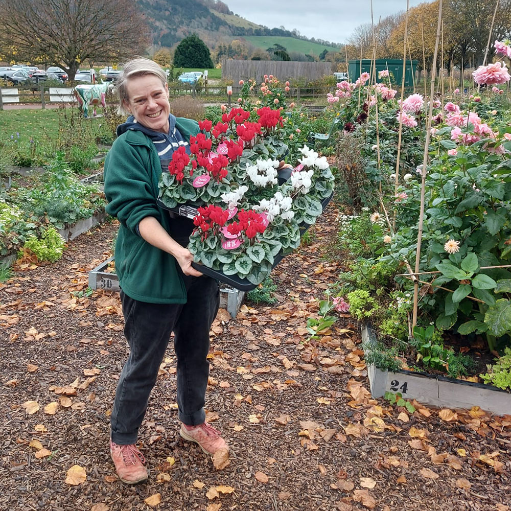 Village Greens Farm Shop