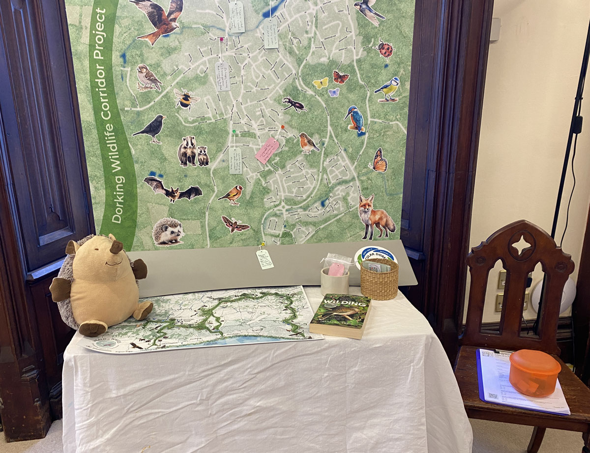 Wilding Mon 8 June information about the Dorking Wildlife Corridor Project