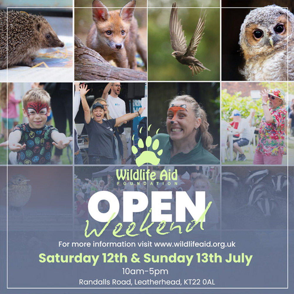 Wildlife Aid Open Weekend 2025