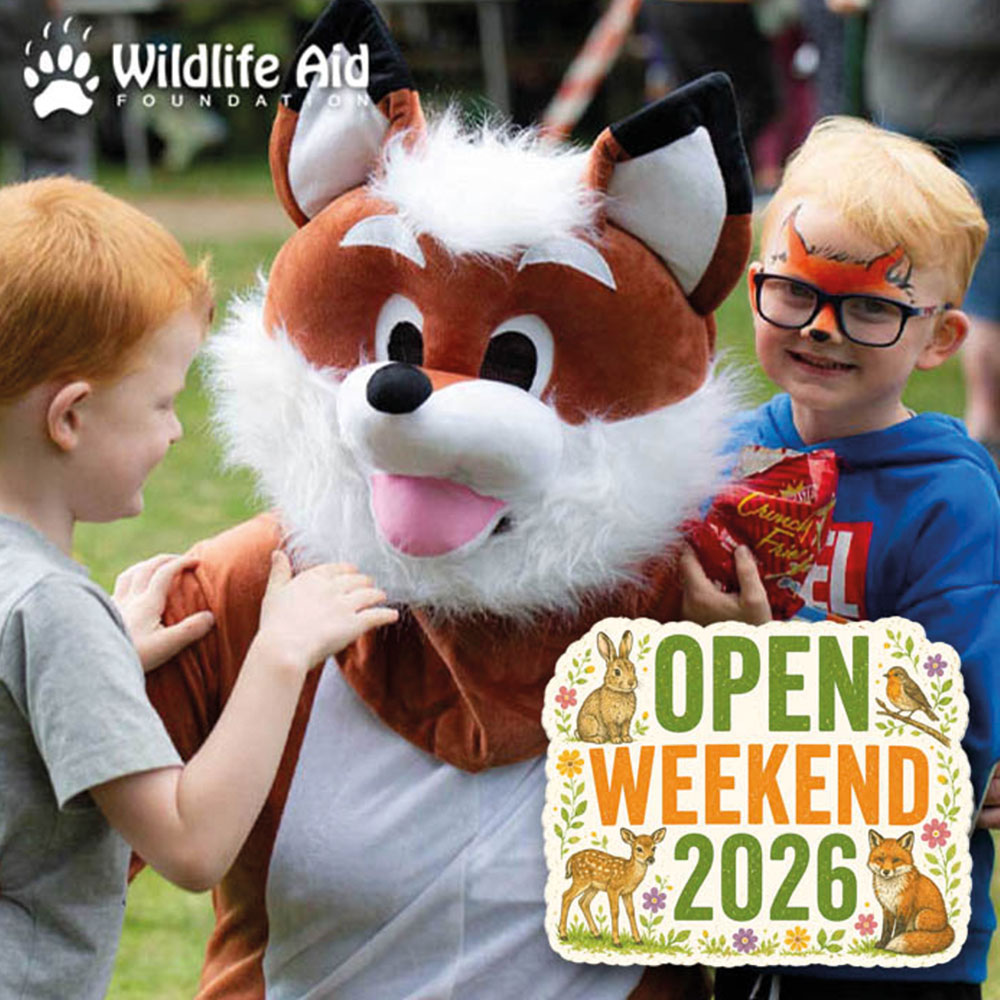 Wildlife Aid open weekend 2026