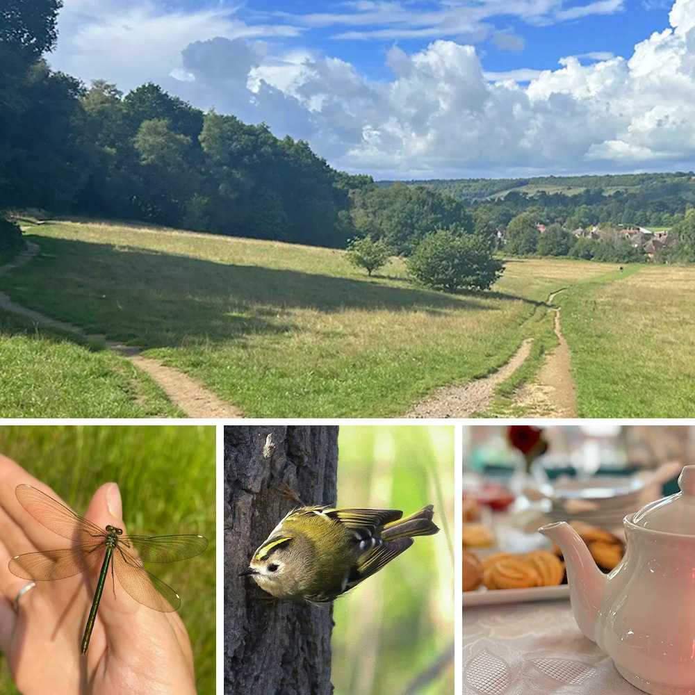 A Walk from The Nower to Nower House
